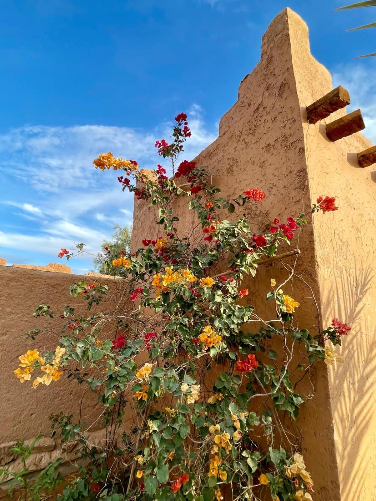 Auberge Kasbah Dar Sahara Tours M'Hamid Ngoại thất bức ảnh