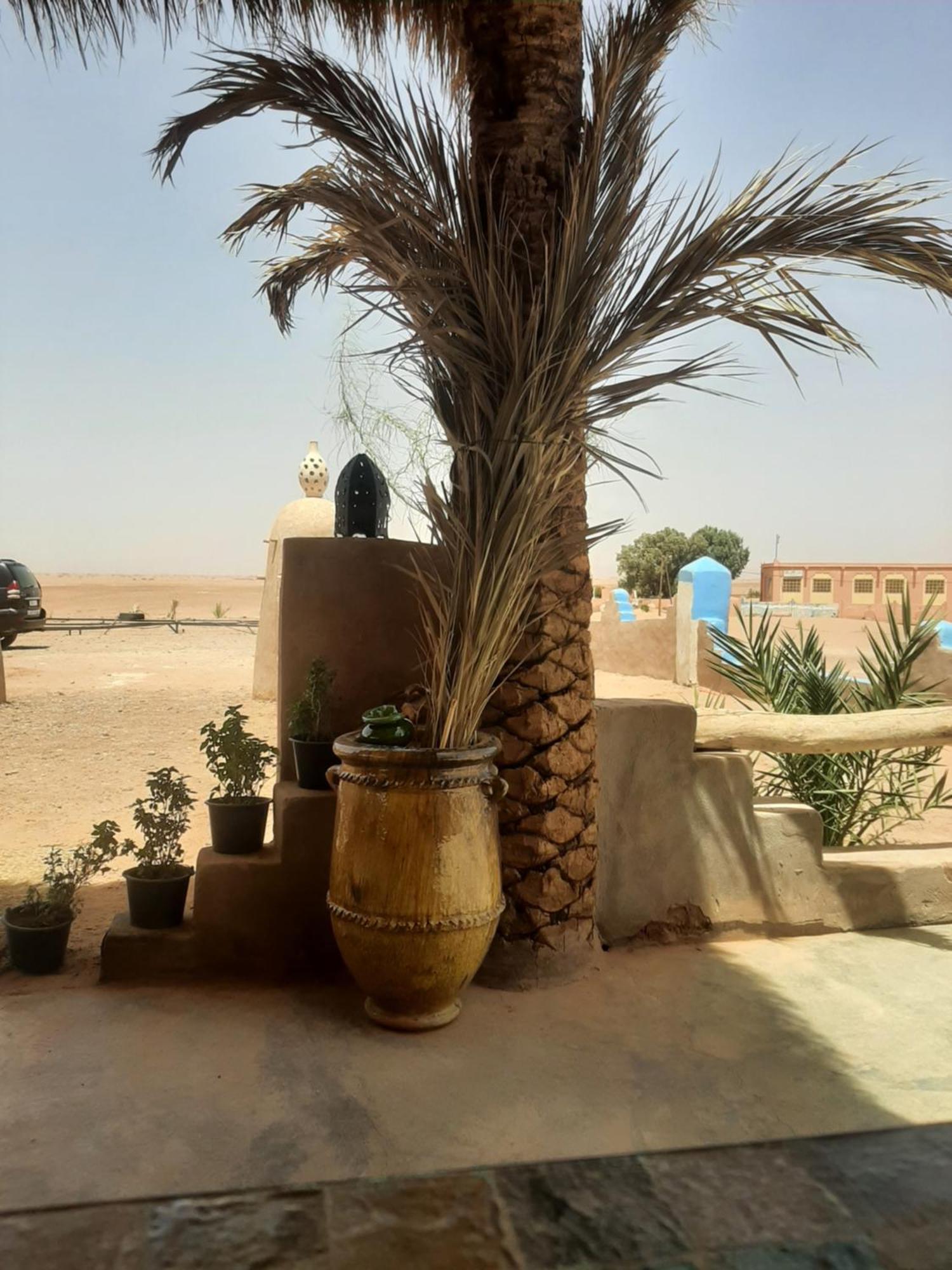 Auberge Kasbah Dar Sahara Tours M'Hamid Ngoại thất bức ảnh